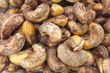 Roasted Salted Cashew Nuts with skin